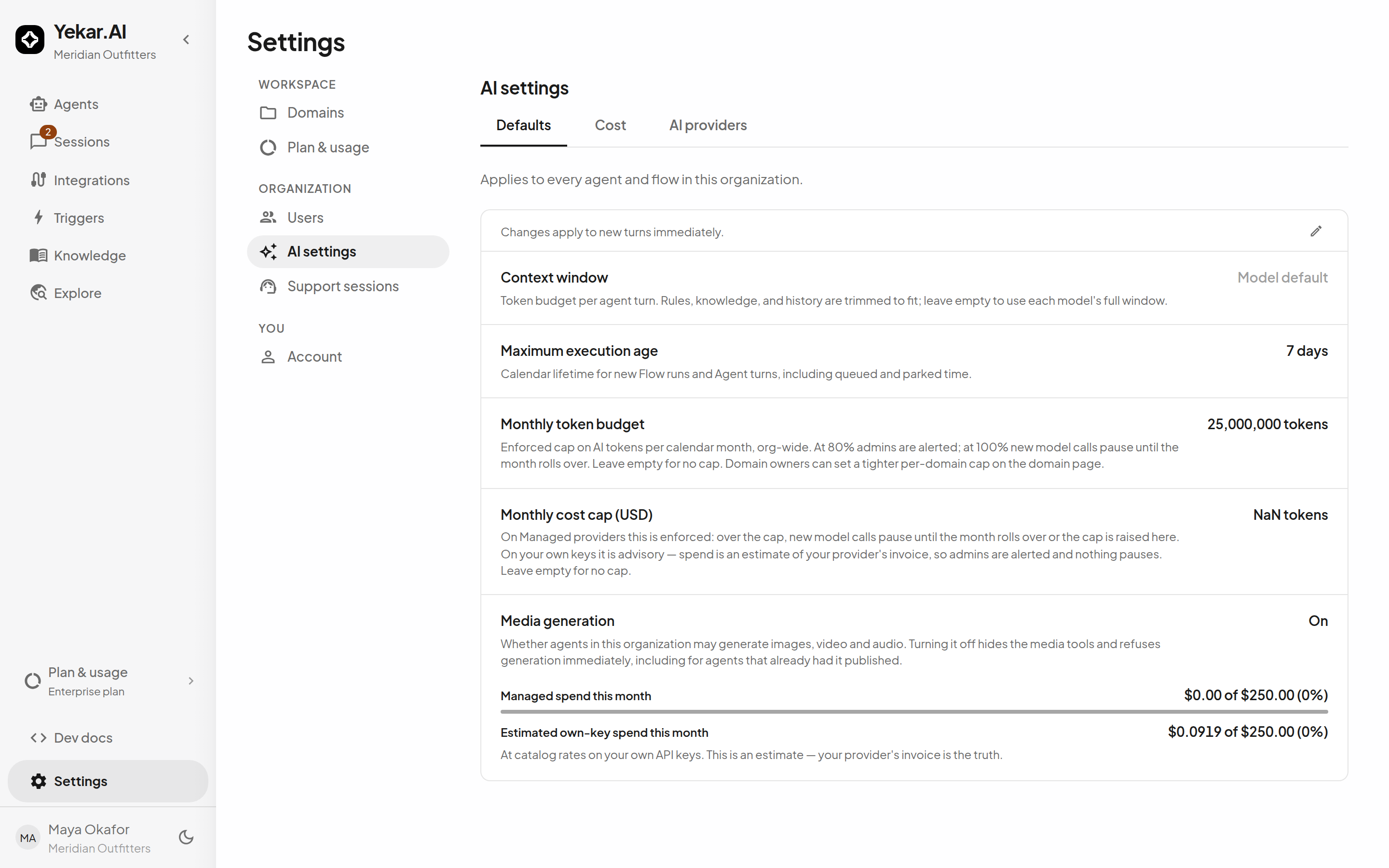 AI settings → Defaults: context window, maximum execution age, monthly token budget and monthly cost cap